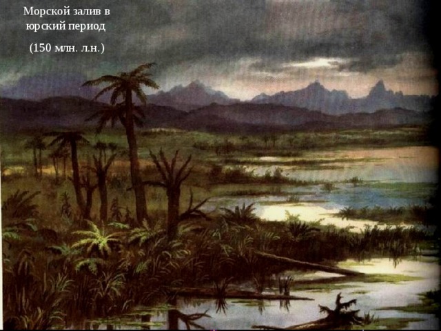 Морской залив в юрский период (150 млн. л.н.) 
