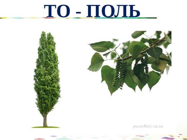ТО - ПОЛЬ 