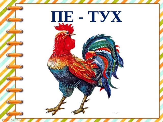 ПЕ - ТУХ 