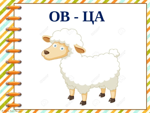 ОВ - ЦА 