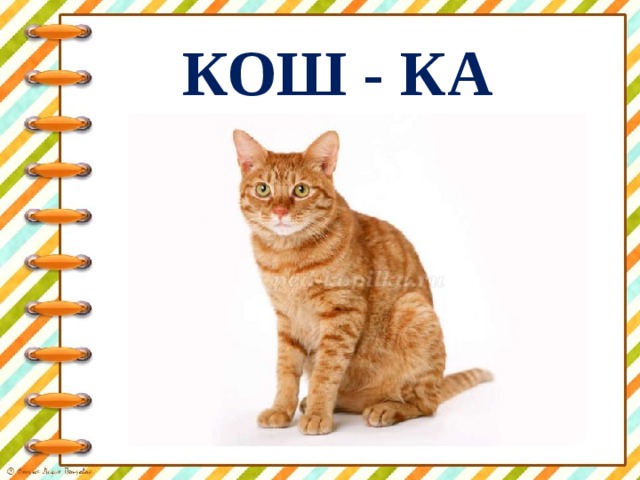 КОШ - КА 