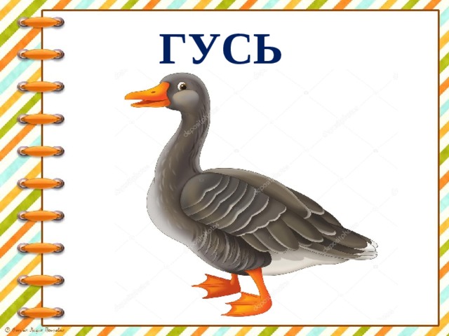 ГУСЬ 