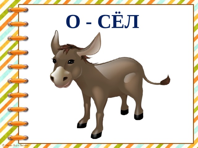 О - СЁЛ 