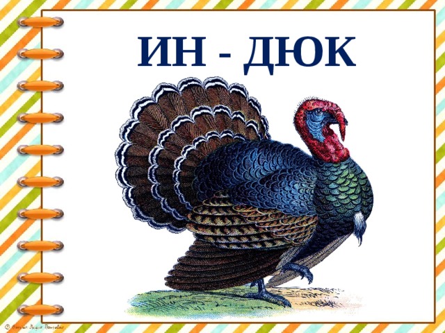 ИН - ДЮК 