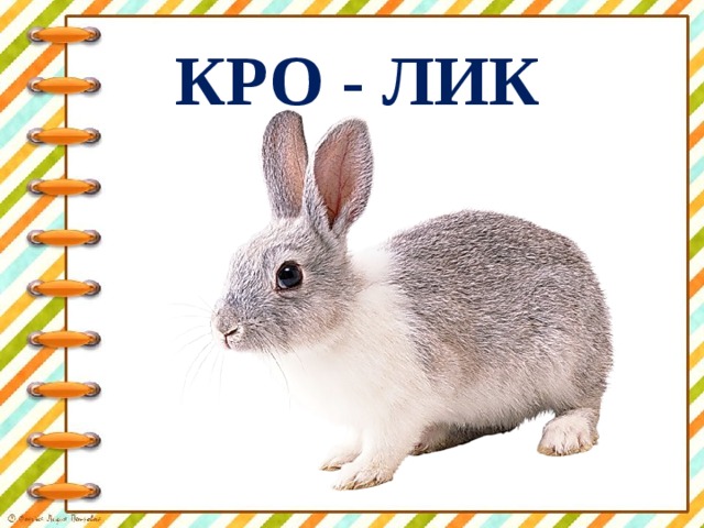 КРО - ЛИК 