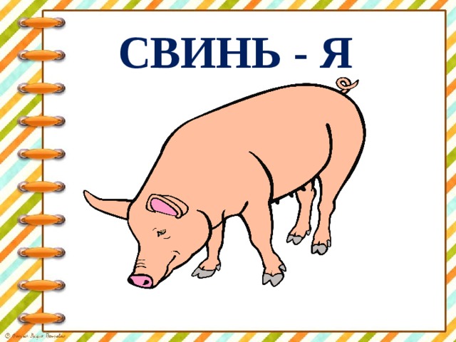 СВИНЬ - Я 