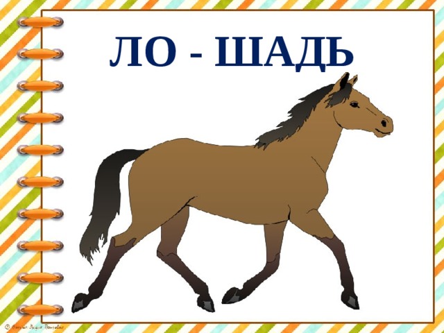 ЛО - ШАДЬ 