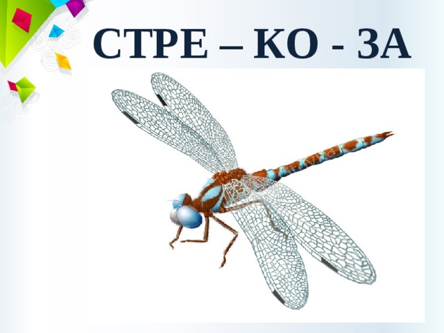 СТРЕ – КО - ЗА 