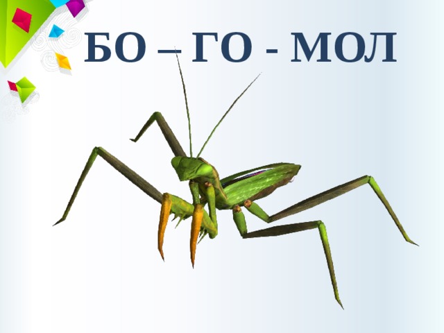 БО – ГО - МОЛ 