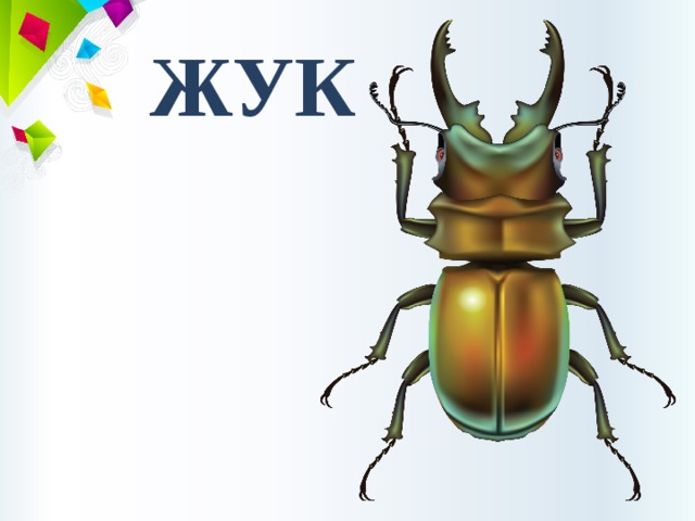 ЖУК 
