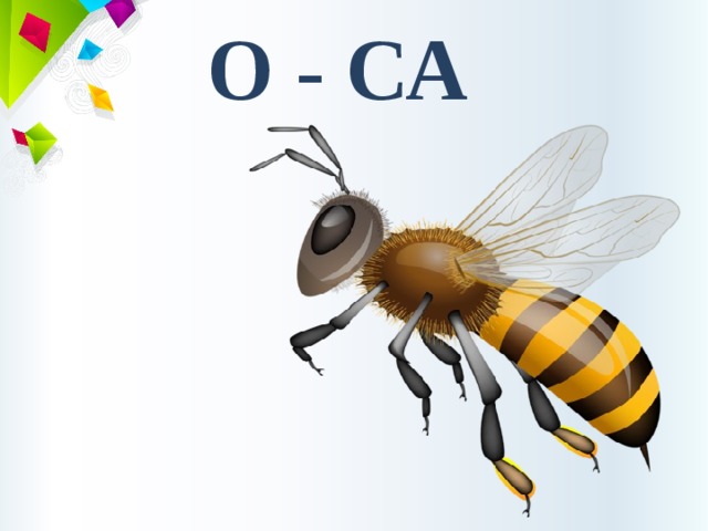 О - СА 