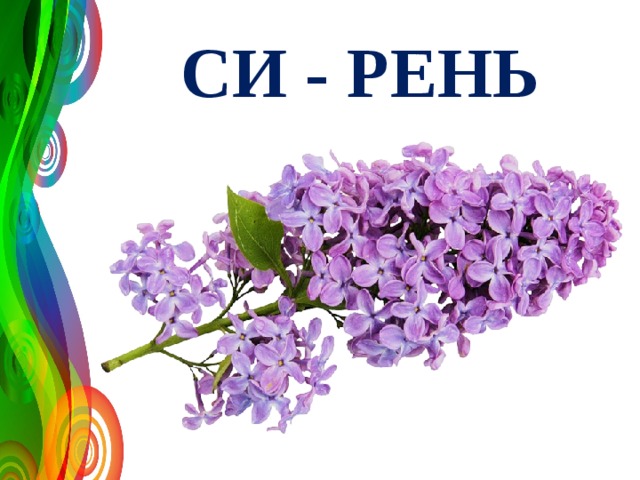 СИ - РЕНЬ 