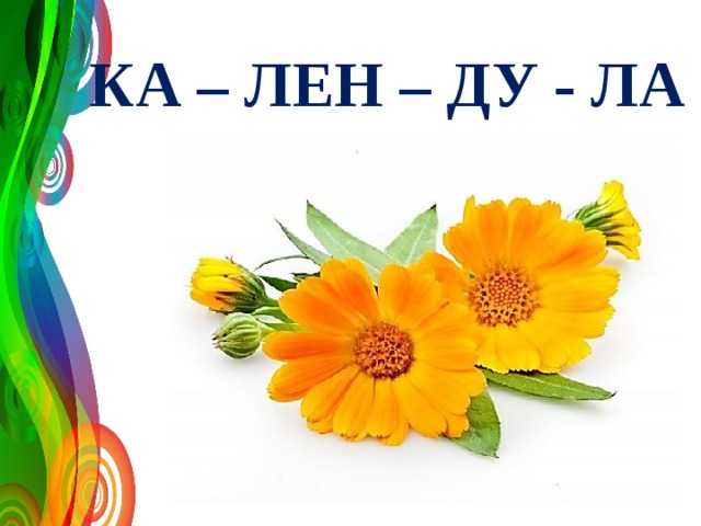 КА – ЛЕН – ДУ - ЛА 