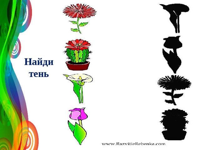 Найди тень 