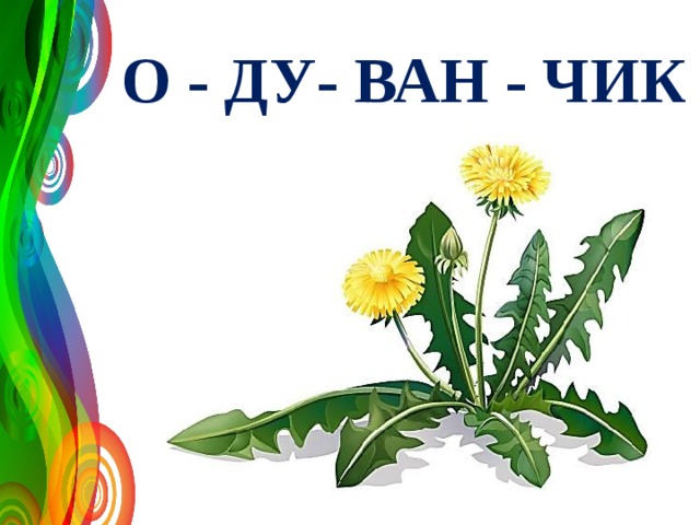 О - ДУ- ВАН - ЧИК 