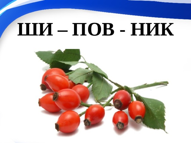ШИ – ПОВ - НИК 