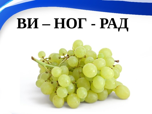ВИ – НОГ - РАД 