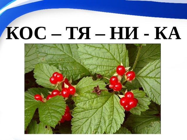 КОС – ТЯ – НИ - КА 