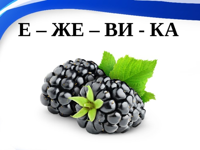 Е – ЖЕ – ВИ - КА 