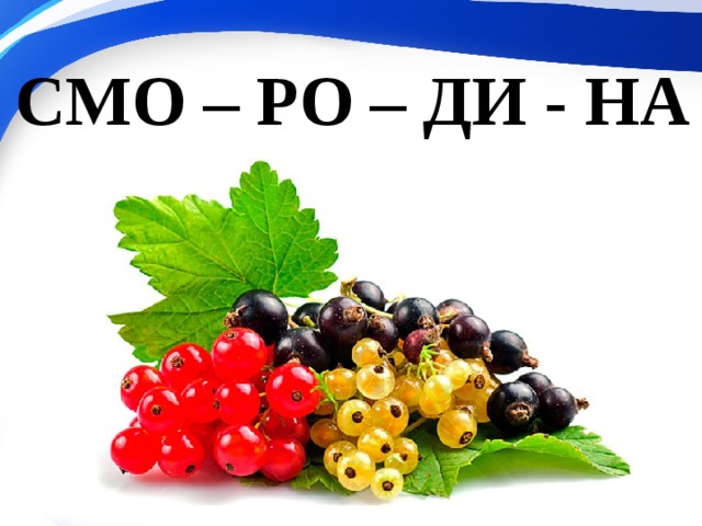 СМО – РО – ДИ - НА 