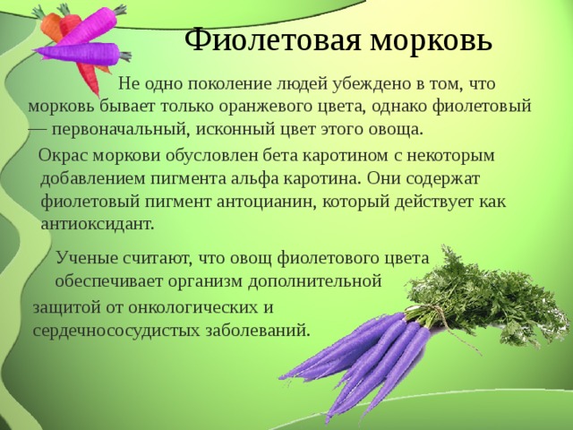 Фиолетовая морковь Не одно поколение людей убеждено в том, что морковь бывает только оранжевого цвета, однако фиолетовый — первоначальный, исконный цвет этого овоща.  Окрас моркови обусловлен бета каротином с некоторым добавлением пигмента альфа каротина. Они содержат фиолетовый пигмент антоцианин, который действует как антиоксидант. Ученые считают, что овощ фиолетового цвета обеспечивает организм дополнительной защитой от онкологических и сердечнососудистых заболеваний.  