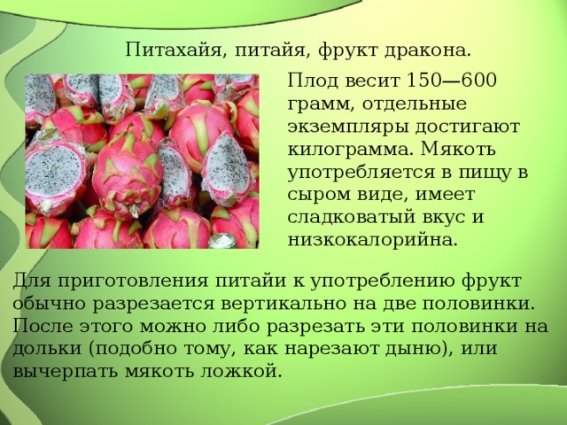 Питахайя, питайя, фрукт дракона. Плод весит 150—600 грамм, отдельные экземпляры достигают килограмма. Мякоть употребляется в пищу в сыром виде, имеет сладковатый вкус и низкокалорийна. Для приготовления питайи к употреблению фрукт обычно разрезается вертикально на две половинки. После этого можно либо разрезать эти половинки на дольки (подобно тому, как нарезают дыню), или вычерпать мякоть ложкой. 