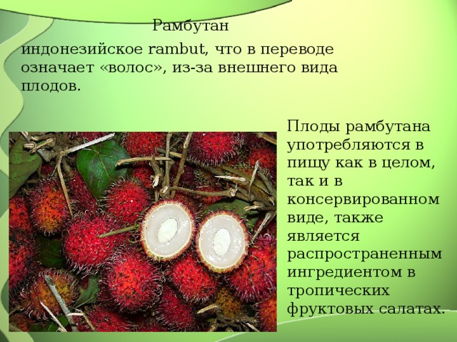 Рамбутан индонезийское rambut, что в переводе означает «волос», из-за внешнего вида плодов. Плоды рамбутана употребляются в пищу как в целом, так и в консервированном виде, также является распространенным ингредиентом в тропических фруктовых салатах. 