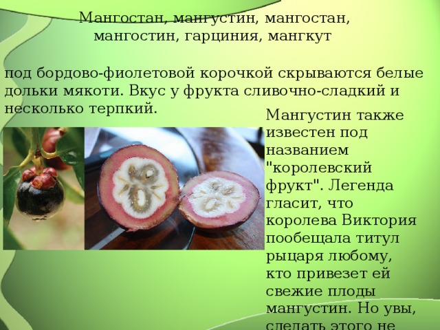 Мангостан, мангустин, мангостан, мангостин, гарциния, мангкут под бордово-фиолетовой корочкой скрываются белые дольки мякоти. Вкус у фрукта сливочно-сладкий и несколько терпкий. Мангустин также известен под названием 