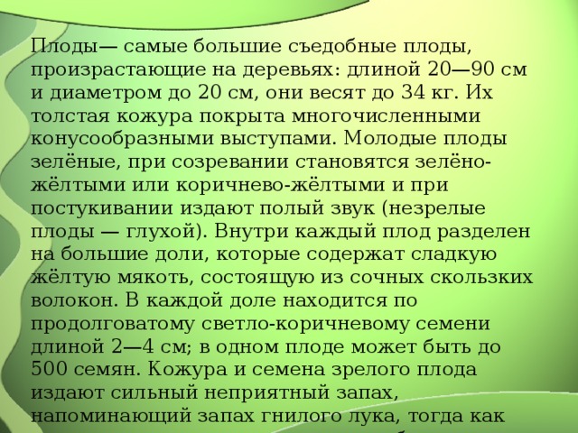 Плоды— самые большие съедобные плоды, произрастающие на деревьях: длиной 20—90 см и диаметром до 20 см, они весят до 34 кг. Их толстая кожура покрыта многочисленными конусообразными выступами. Молодые плоды зелёные, при созревании становятся зелёно-жёлтыми или коричнево-жёлтыми и при постукивании издают полый звук (незрелые плоды — глухой). Внутри каждый плод разделен на большие доли, которые содержат сладкую жёлтую мякоть, состоящую из сочных скользких волокон. В каждой доле находится по продолговатому светло-коричневому семени длиной 2—4 см; в одном плоде может быть до 500 семян. Кожура и семена зрелого плода издают сильный неприятный запах, напоминающий запах гнилого лука, тогда как мякоть пахнет приятно, похоже на банан и ананас. 