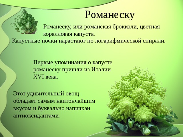 Романеску Романеску, или романская брокколи, цветная коралловая капуста. Капустные почки нарастают по логарифмической спирали. Первые упоминания о капусте романеску пришли из Италии XVI века. Этот удивительный овощ обладает самым наитончайшим вкусом и буквально напичкан антиоксидантами. 