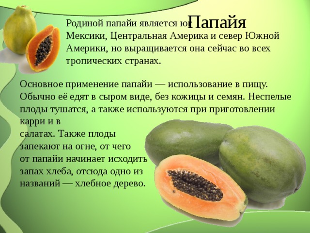 Папайя Родиной папайи является юг Мексики, Центральная Америка и север Южной Америки, но выращивается она сейчас во всех тропических странах. Основное применение папайи — использование в пищу. Обычно её едят в сыром виде, без кожицы и семян. Неспелые плоды тушатся, а также используются при приготовлении карри и в салатах. Также плоды запекают на огне, от чего от папайи начинает исходить запах хлеба, отсюда одно из названий — хлебное дерево. 