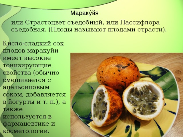 Мараку́йя или Страстоцвет съедобный, или Пассифлора съедобная. (Плоды называют плодами страсти). Кисло-сладкий сок плодов маракуйи имеет высокие тонизирующие свойства (обычно смешивается с апельсиновым соком, добавляется в йогурты и т. п.), а также используется в фармацевтике и косметологии. 