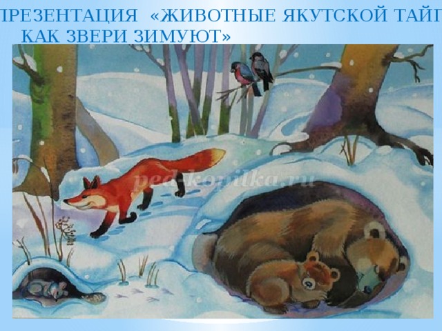 ПРЕЗЕНТАЦИЯ «ЖИВОТНЫЕ ЯКУТСКОЙ ТАЙГИ -  КАК ЗВЕРИ ЗИМУЮТ» Как животные готовятся к зиме 