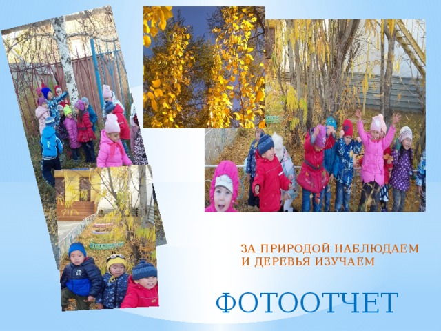 ЗА ПРИРОДОЙ НАБЛЮДАЕМ И ДЕРЕВЬЯ ИЗУЧАЕМ ФОТООТЧЕТ 