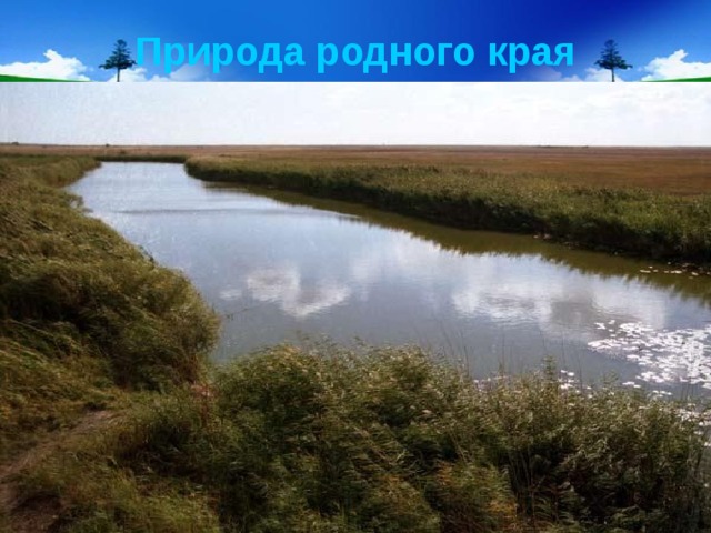 Природа родного края  