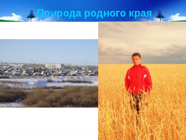 Природа родного края 