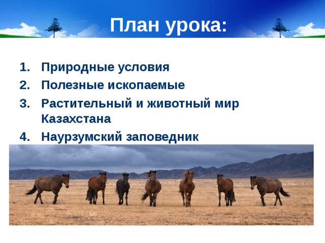 План урока: Природные условия Полезные ископаемые Растительный и животный мир Казахстана Наурзумский заповедник 