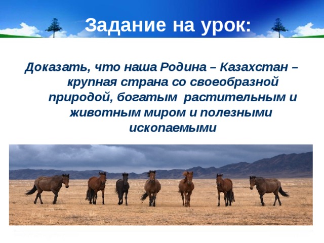 Задание на урок: Доказать, что наша Родина – Казахстан – крупная страна со своеобразной природой, богатым растительным и животным миром и полезными ископаемыми 
