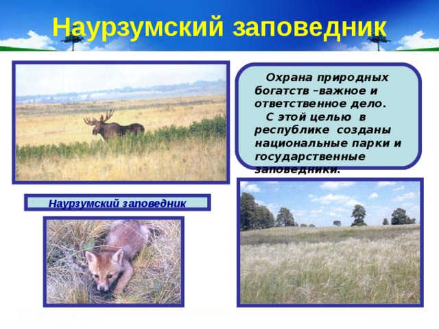 Наурзумский заповедник  Охрана природных богатств –важное и ответственное дело.  С этой целью в республике созданы национальные парки и государственные заповедники. Наурзумский заповедник 