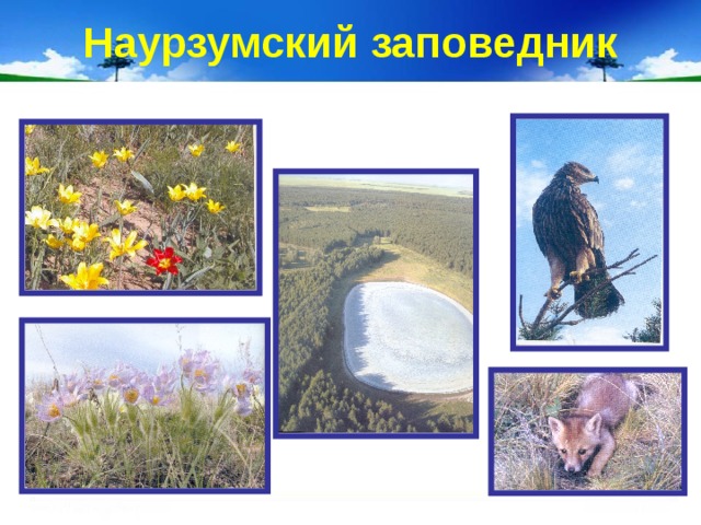 Наурзумский заповедник 