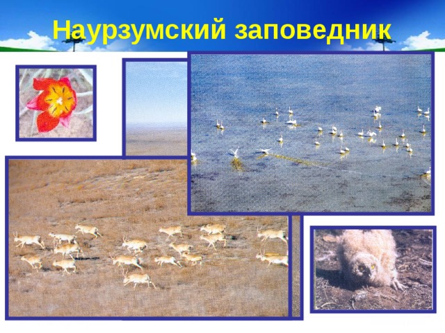 Наурзумский заповедник 