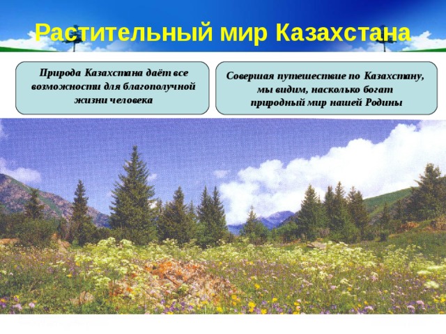 Растительный мир Казахстана Совершая путешествие по Казахстану, мы видим, насколько богат природный мир нашей Родины Природа Казахстана даёт все возможности для благополучной жизни человека 
