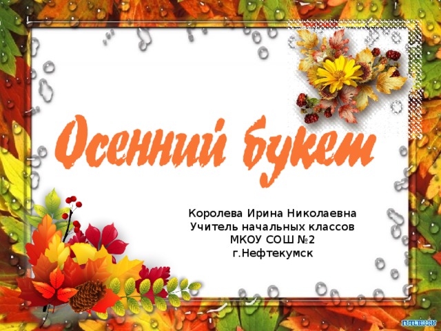 Королева Ирина Николаевна Учитель начальных классов МКОУ СОШ №2 г.Нефтекумск 