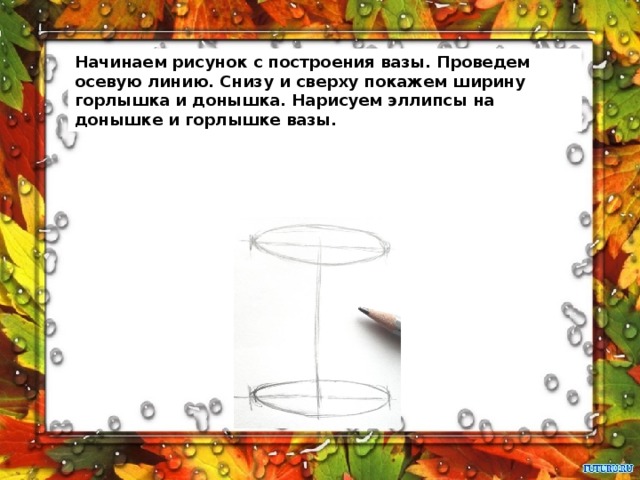 Начинаем рисунок с построения вазы. Проведем осевую линию. Снизу и сверху покажем ширину горлышка и донышка. Нарисуем эллипсы на донышке и горлышке вазы. 