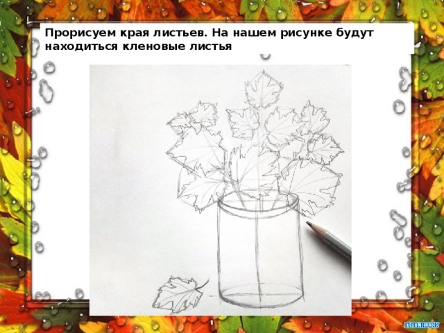 Прорисуем края листьев. На нашем рисунке будут находиться кленовые листья 