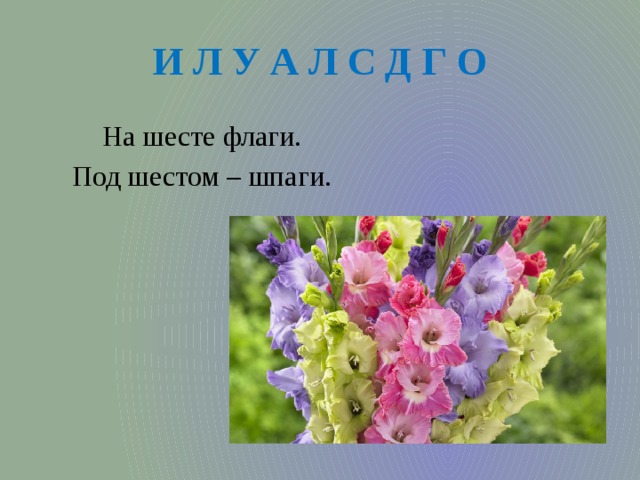 И Л У А Л С Д Г О На шесте флаги. Под шестом – шпаги. 