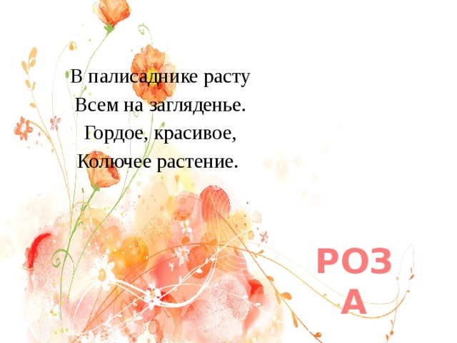 В палисаднике расту Всем на загляденье. Гордое, красивое, Колючее растение. РОЗА 