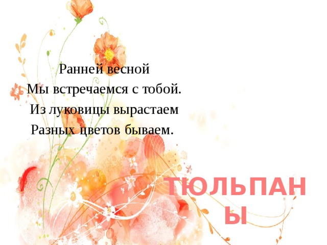 Ранней весной Мы встречаемся с тобой. Из луковицы вырастаем Разных цветов бываем. ТЮЛЬПАНЫ 