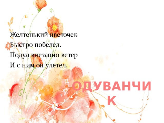 Желтенький цветочек Быстро побелел. Подул внезапно ветер И с ним он улетел. ОДУВАНЧИК 