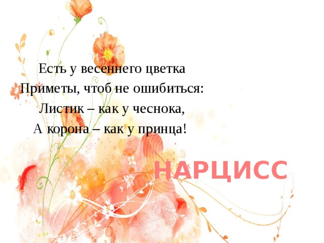Есть у весеннего цветка Приметы, чтоб не ошибиться: Листик – как у чеснока, А корона – как у принца! НАРЦИСС 